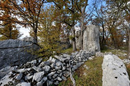 Živi muzej Krasa, foto Borut Lozej